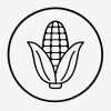Кукуруза