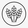 Зерновые культуры